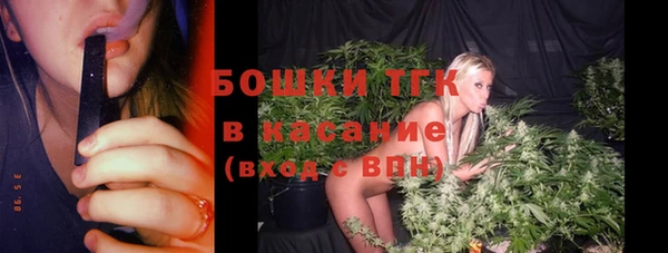 тгк Вяземский